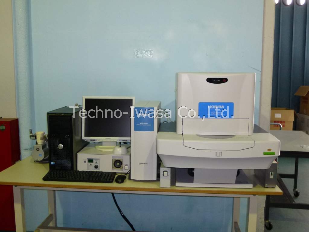 X�����͌�����